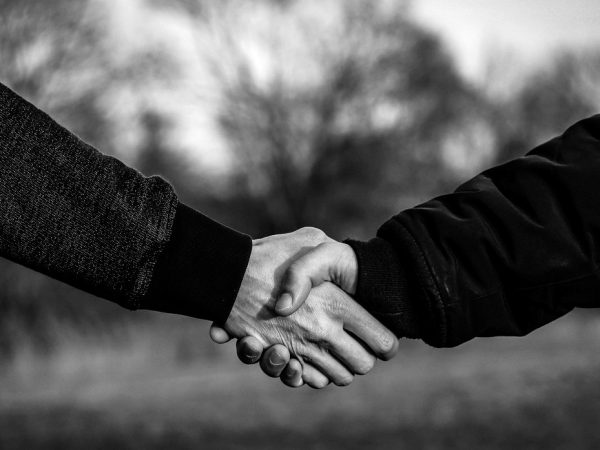handshake, shaking hands, hands, greet, welcome, make a date, some, agree, peace, friendship, to get to know, handshake, handshake, handshake, handshake, handshake, shaking hands, shaking hands, shaking hands, welcome, agree, agree, agree